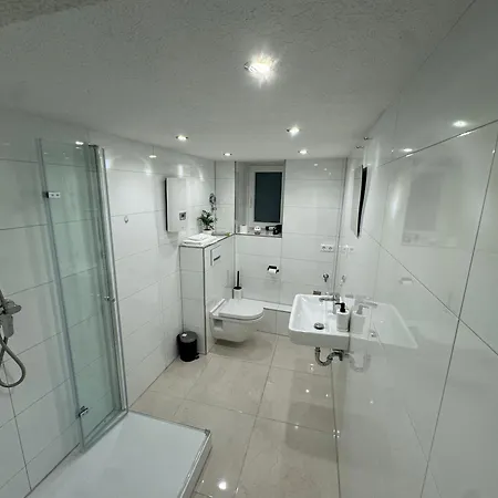 Stadtwohnung Mit Kueche Und Netflix Nahe Bahnhof זינסהיים